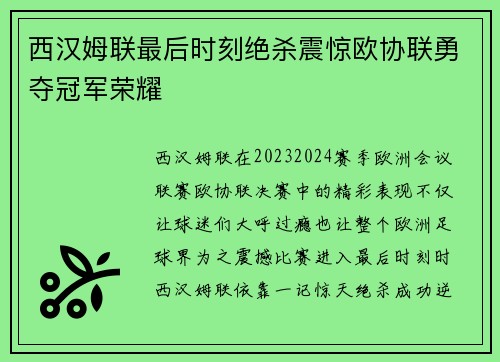 西汉姆联最后时刻绝杀震惊欧协联勇夺冠军荣耀 西汉姆联最后时刻绝杀震惊欧协联勇夺冠军荣耀